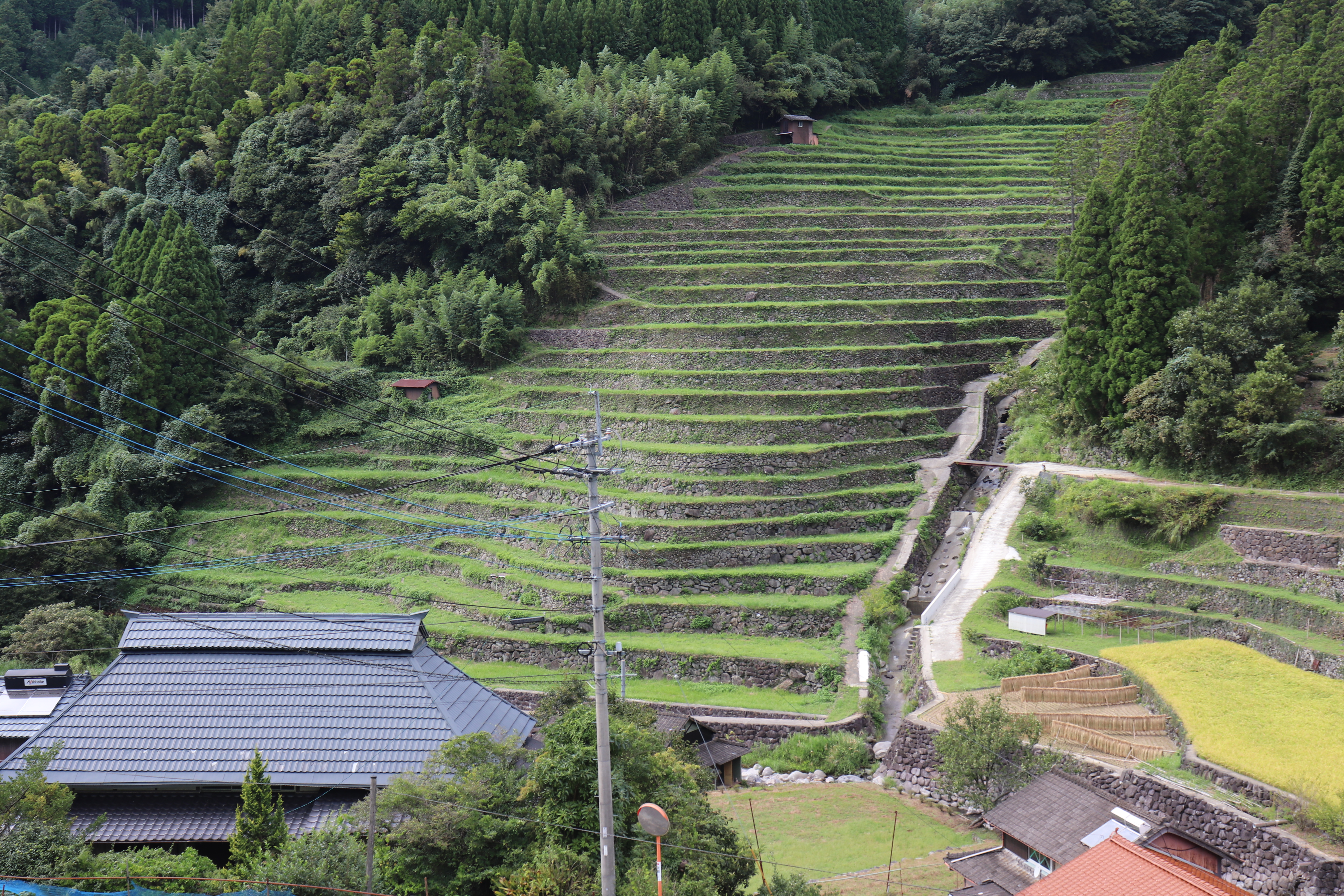 Fukuoka Yame